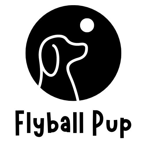 Flyball Pup